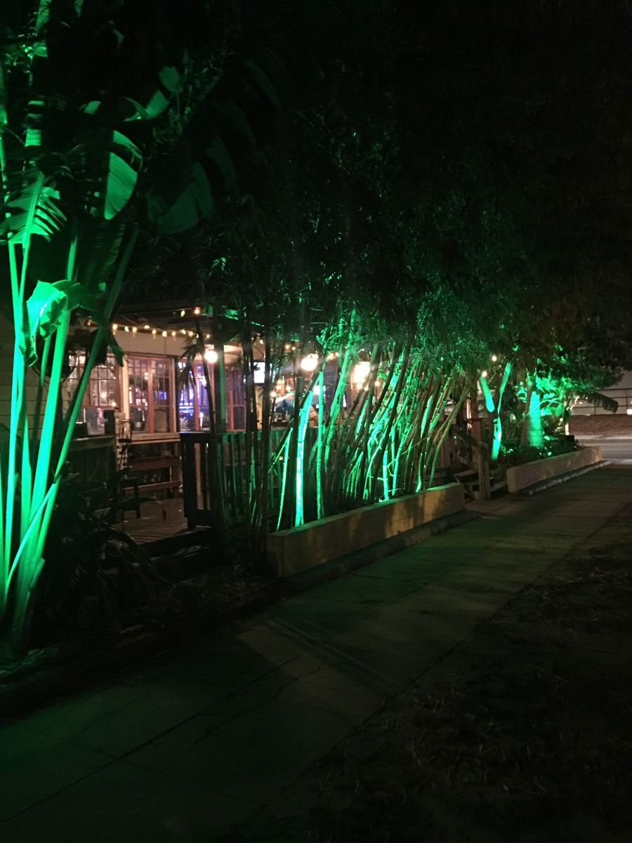 Fresh Kitchen Tampa bamboo garden with green RGBW LED landscape lighting at night